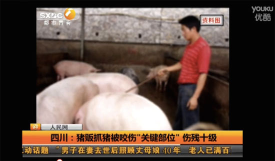 พ่อค้าหมูจีนซวยถูกหมูกระโจนกัดเจ้าโลกหวิดขาด พ่อค้าหมูจีนซวยถูกหมูกระโจนกัดเจ้าโลกหวิดขาด