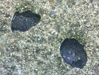 สะเก็ดดาวตกอายุกว่า 4-5 พันล้านปี สะเก็ดดาวตกอายุกว่า 4-5 พันล้านปี