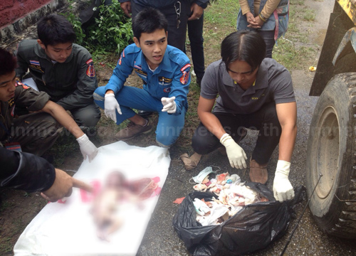 แม่ใจยักษ์ทิ้งทารกแรกเกิด มัดใส่ถุงดำ ทิ้งถังขยะ ที่เชียงราย แม่ใจยักษ์ทิ้งทารกแรกเกิด มัดใส่ถุงดำ ทิ้งถังขยะ ที่เชียงราย