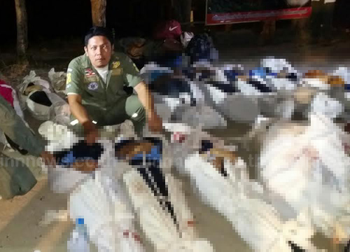 รถทัวร์ตกสะพานห้วยตอง เพชรบูรณ์ รถทัวร์ตกสะพานห้วยตอง เพชรบูรณ์