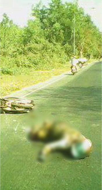 โจรใต้โหดจ่อยิงครูสาวดับก่อนจุดไฟเผา คาดสร้างสถานการณ์ โจรใต้โหดจ่อยิงครูสาวดับก่อนจุดไฟเผา คาดสร้างสถานการณ์