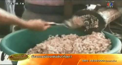 ไส้กรอกซากแมว