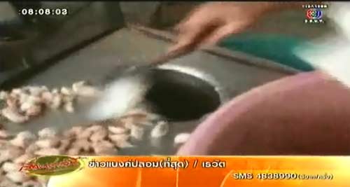 ไส้กรอกซากแมว