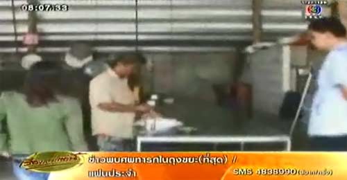 ไส้กรอกซากแมว