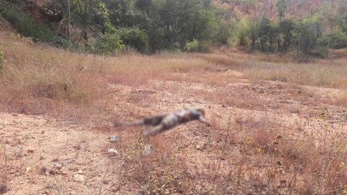 กินยาเบื่อหนูฆ่าตัวตาย กินยาเบื่อหนูฆ่าตัวตาย