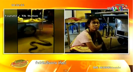 งูเหลือมขนาดใหญ่เบิ้มเลื้อยผ่านร้านก๋วยเตี๋ยว งูเหลือมขนาดใหญ่เบิ้มเลื้อยผ่านร้านก๋วยเตี๋ยว