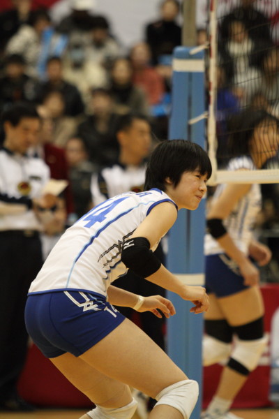 ฮารุกะ มิยาชิตะ ฮารุกะ มิยาชิตะ