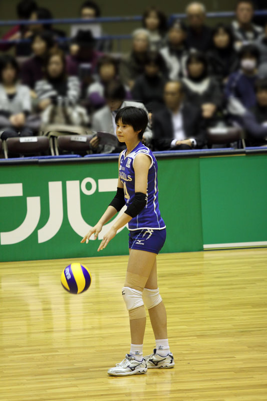 ฮารุกะ มิยาชิตะ ฮารุกะ มิยาชิตะ