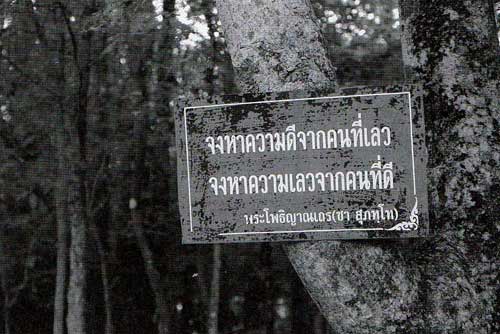 รำลึก 20 ปี หลวงปู่ชา สุภัทโท