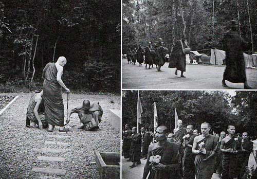 รำลึก 20 ปี หลวงปู่ชา สุภัทโท