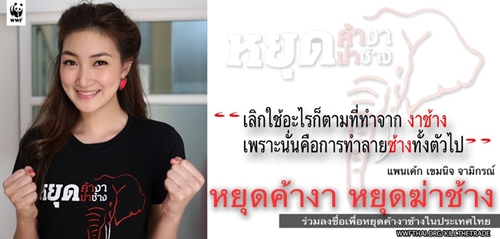 หยุดฆ่าช้าง