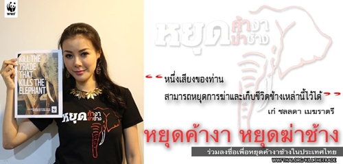 หยุดฆ่าช้าง