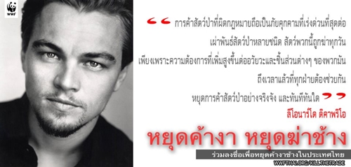 หยุดฆ่าช้าง