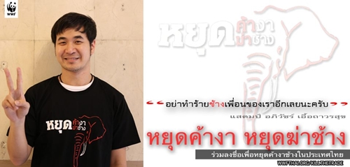 หยุดฆ่าช้าง