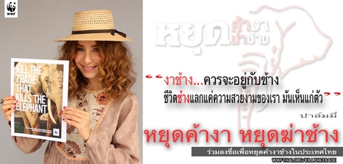 หยุดฆ่าช้าง