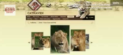 สิงโตขย้ำเจ้าหน้าที่หญิงดับ