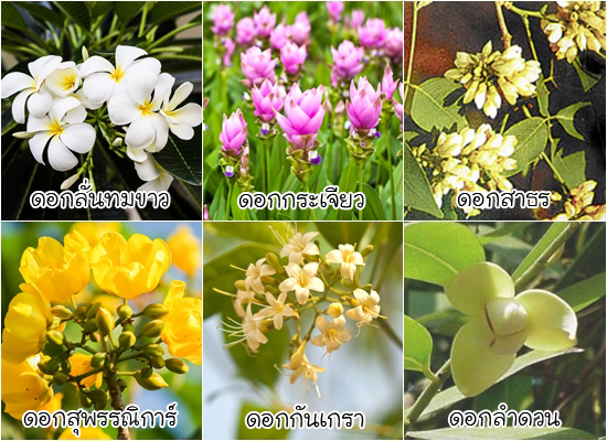 ดอกไม้ประจำจังหวัด ดอกไม้ประจำจังหวัด