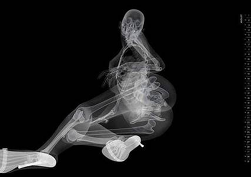 ปฏิทินนู้ด