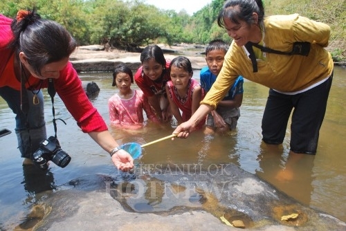 แมงกะพรุนน้ำจืด