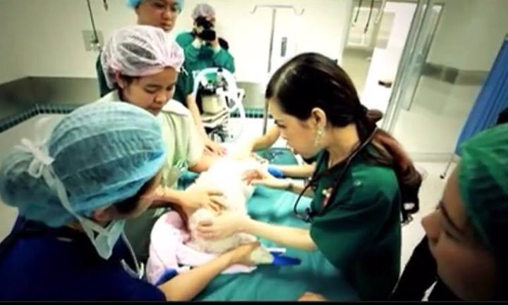 ฟ้าหญิงจุฬาภรณ์ฯ ใน วู้ดดี้เกิดมาคุย ฟ้าหญิงจุฬาภรณ์ฯ ใน วู้ดดี้เกิดมาคุย