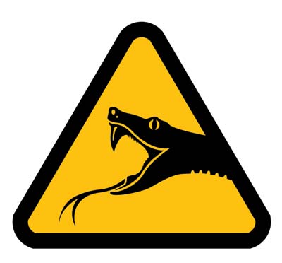 งูในรองเท้า งูในรองเท้า