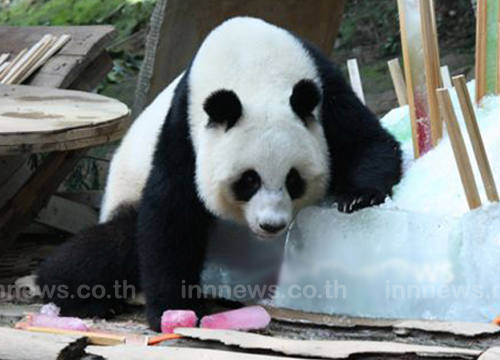 หลินปิง หลินปิง