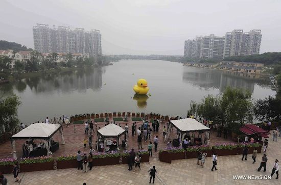 ตุ๊กตาเป็ดยักษ์ จีน ตุ๊กตาเป็ดยักษ์ จีน