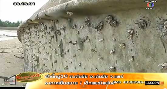 ซากเรือเก่าอับปาง พร้อมรูกระสุนรอบลำ ถูกพัดขึ้นฝั่ง พังงา ซากเรือเก่าอับปาง พร้อมรูกระสุนรอบลำ ถูกพัดขึ้นฝั่ง พังงา