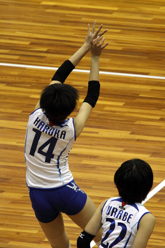 ฮารุกะ มิยาชิตะ ฮารุกะ มิยาชิตะ