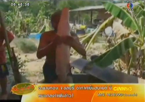 ปลาจระเข้