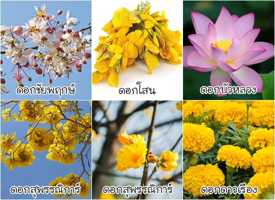 ดอกไม้ประจำจังหวัด ดอกไม้ประจำจังหวัด