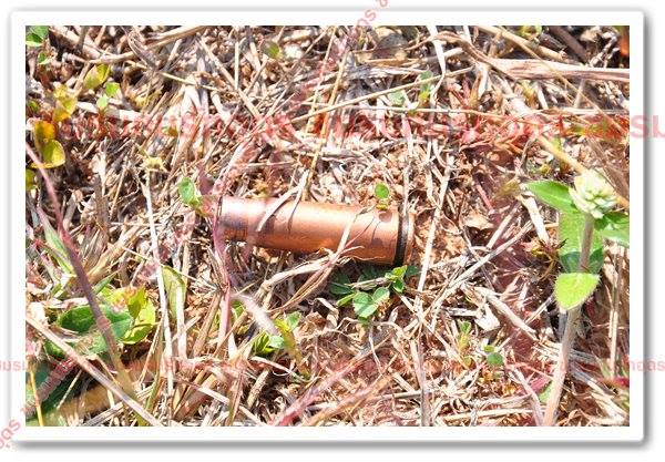 ขวัญชัย ไพรพนา ถูกยิง ขวัญชัย ไพรพนา ถูกยิง