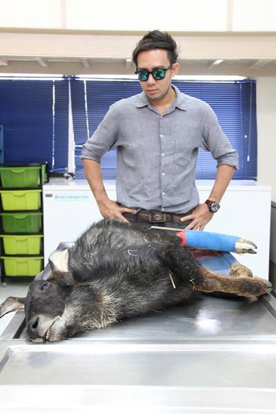 หมอล็อต ไว้อาลัย เจ้าช้าง เลียงผาถูกทำร้าย บอกคนทำมึงรีบไปตายแล้วกัน หมอล็อต ไว้อาลัย เจ้าช้าง เลียงผาถูกทำร้าย บอกคนทำมึงรีบไปตายแล้วกัน