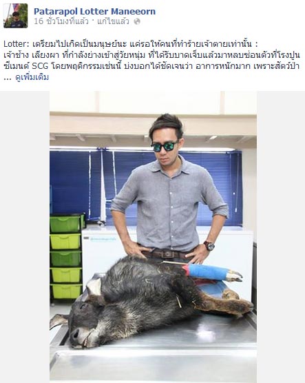 หมอล็อต ไว้อาลัย เจ้าช้าง เลียงผาถูกทำร้าย บอกคนทำมึงรีบไปตายแล้วกัน หมอล็อต ไว้อาลัย เจ้าช้าง เลียงผาถูกทำร้าย บอกคนทำมึงรีบไปตายแล้วกัน