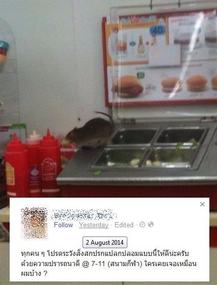 หนูยักษ์โผล่ชั้นวางผักร้านสะดวกซื้อชื่อดัง หนูยักษ์โผล่ชั้นวางผักร้านสะดวกซื้อชื่อดัง