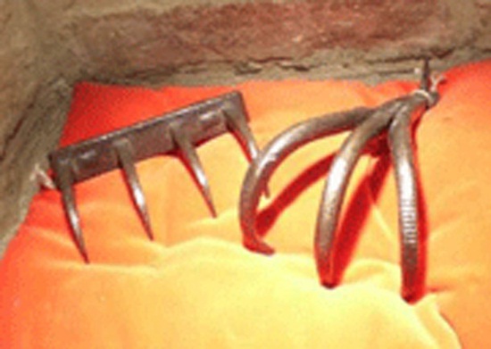 สแปนิช ทิกเกลอร์ สแปนิช ทิกเกลอร์