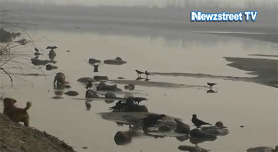 อินเดียพบศพนับร้อยลอยเกลื่อนแม่น้ำคงคา อินเดียพบศพนับร้อยลอยเกลื่อนแม่น้ำคงคา