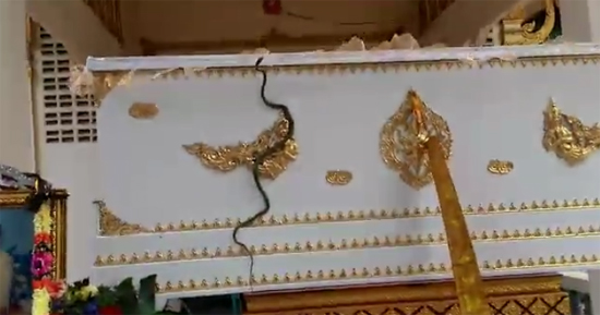 งูเลื้อยขึ้นโลงศพ งูเลื้อยขึ้นโลงศพ