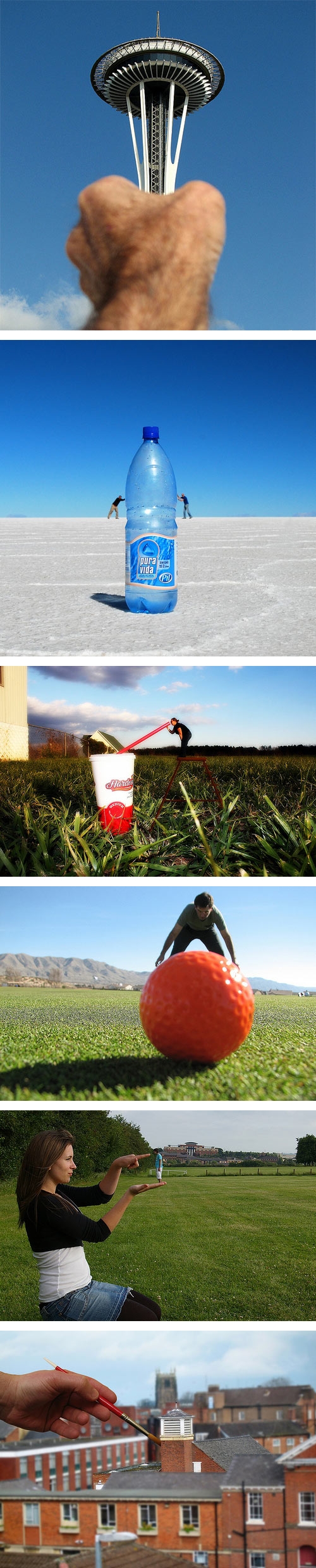 จระเข้ใหญ่ที่สุดในโลก ที่แท้แค่ภาพหลอก ใหญ่เพราะมุมกล้อง จระเข้ใหญ่ที่สุดในโลก ที่แท้แค่ภาพหลอก ใหญ่เพราะมุมกล้อง