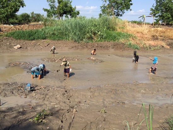 คลองระพีพัฒน์แห้งขอด คลองระพีพัฒน์แห้งขอด