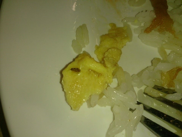 โรงอาหาร ม.ดัง ย่านท่าพระจันทร์ แมลงสาบอยู่ในข้าวเพียบ โรงอาหาร ม.ดัง ย่านท่าพระจันทร์ แมลงสาบอยู่ในข้าวเพียบ