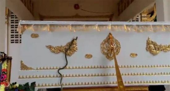 งูเลื้อยขึ้นโลงศพ งูเลื้อยขึ้นโลงศพ