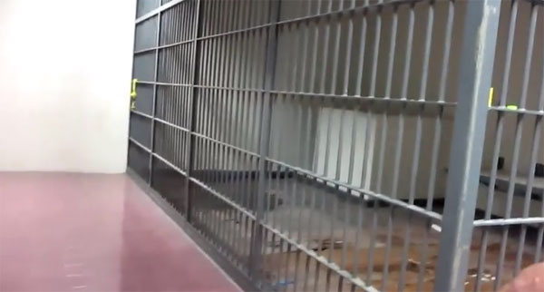 ผีห้องขังกองปราบ ผีห้องขังกองปราบ