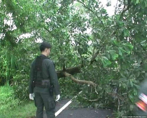 มทภ.4 ปัด ประกาศเคอร์ฟิว 6 ตำบล ล่าโจรใต้ แต่ใช้กฎอัยการศึก มทภ.4 ปัด ประกาศเคอร์ฟิว 6 ตำบล ล่าโจรใต้ แต่ใช้กฎอัยการศึก