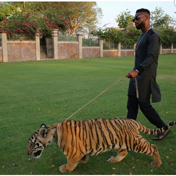 ลูกมหาเศรษฐีดูไบ ลูกมหาเศรษฐีดูไบ