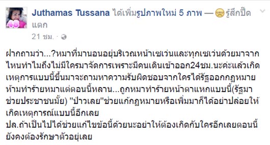 ลูกค้าโวย หลานสาวถูกหมาหน้าเซเว่นฯ กัดเป็นแผลเหวอะ ถามใครจะรับผิดชอบ ? ลูกค้าโวย หลานสาวถูกหมาหน้าเซเว่นฯ กัดเป็นแผลเหวอะ ถามใครจะรับผิดชอบ ?