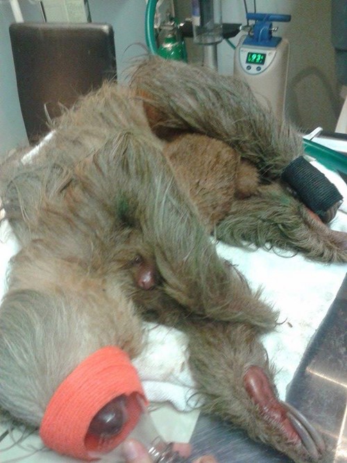 แม่สล็อตบาดเจ็บกอดลูกแนบอก ไม่ปล่อยแม้ผ่าตัด แม่สล็อตบาดเจ็บกอดลูกแนบอก ไม่ปล่อยแม้ผ่าตัด