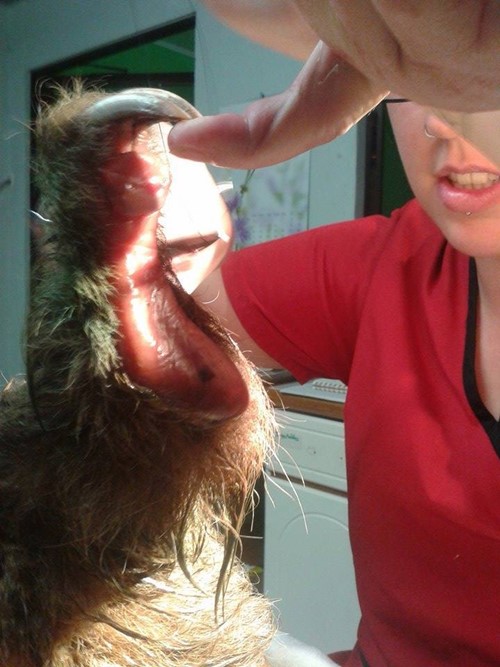 แม่สล็อตบาดเจ็บกอดลูกแนบอก ไม่ปล่อยแม้ผ่าตัด แม่สล็อตบาดเจ็บกอดลูกแนบอก ไม่ปล่อยแม้ผ่าตัด