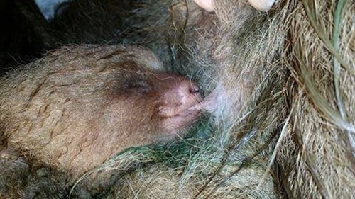 แม่สล็อตบาดเจ็บกอดลูกแนบอก ไม่ปล่อยแม้ผ่าตัด แม่สล็อตบาดเจ็บกอดลูกแนบอก ไม่ปล่อยแม้ผ่าตัด