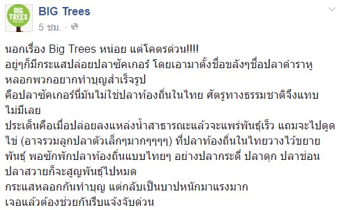 หยุดปล่อยปลาซัคเกอร์ลงแม่น้ำ หยุดปล่อยปลาซัคเกอร์ลงแม่น้ำ